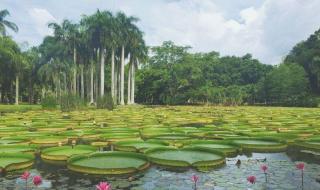 西双版纳属于云贵高原吗 西双版纳傣族自治州