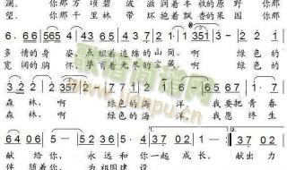 求类似森林狂想曲的纯音乐 森林狂想曲五线谱