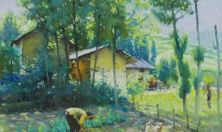 篱笆女人和狗的剧情是什么 篱笆女人和狗广场舞