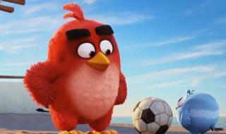 人生就像愤怒的小鸟