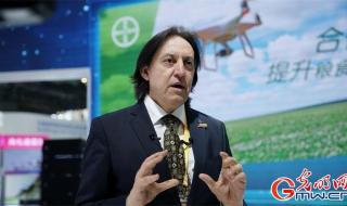 拜耳高巧是中国第一大拌种剂 拜耳中国有限公司