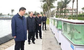 广东省湛江市东海岛