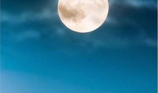 季羡林《月是故乡明》的主要内容是什么 月是故乡明课堂笔记