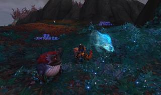 wow猎人宝宝 wow猎人宝宝