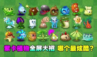 植物大战僵尸八孔植物 十大最强紫卡植物