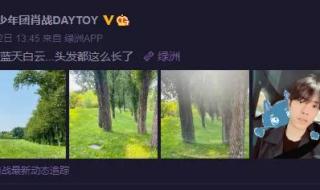 神隐电视剧更新时间 神隐电视剧更新时间