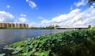 国际马拉松跑的赛程