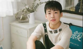 钟汉良贾玲电视剧 钟汉良综艺节目