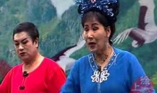 二人转有那些 二人转正戏包公赔情