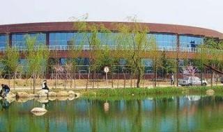 潍坊七中体育特长生录取标准 潍坊中学录取标准