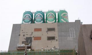 2023青岛啤酒官宣代言人是谁 青岛啤酒是日本的吗